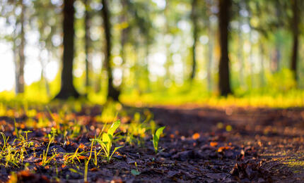 Moet uw grond gesaneerd worden en wie gaat dat financieren?