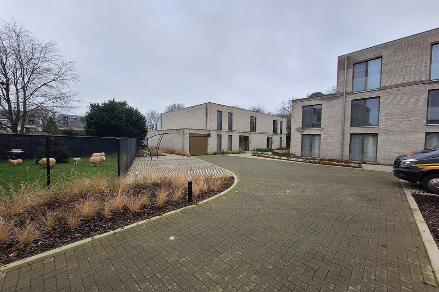 te huur appartement kasterlee zagerijstraat 2a 3