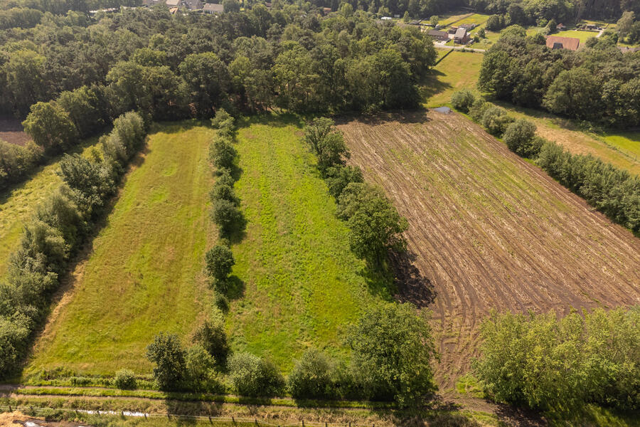 te koop grond geel herentalsedijk herentalsedijk t h v vlinderstraat