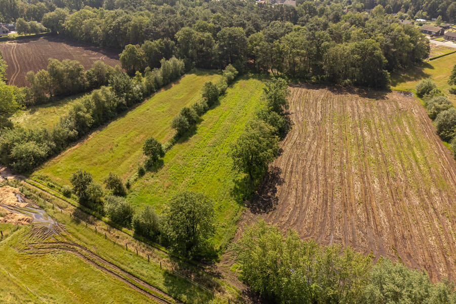 te koop grond geel herentalsedijk herentalsedijk t h v vlinderstraat