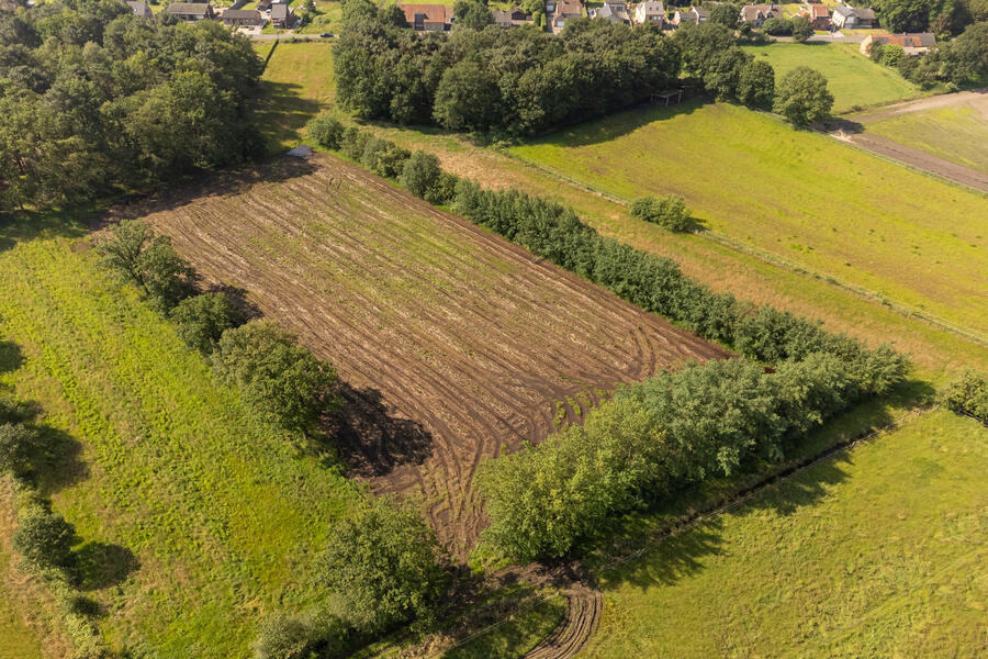 te koop grond geel herentalsedijk herentalsedijk t h v vlinderstraat