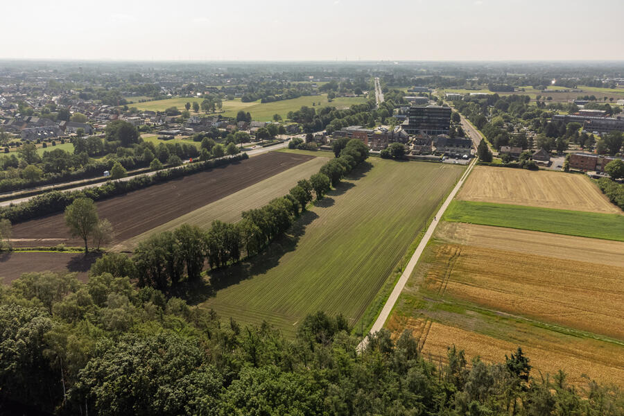 te koop grond geel larumseweg larumseweg t h v kleinhoefpad